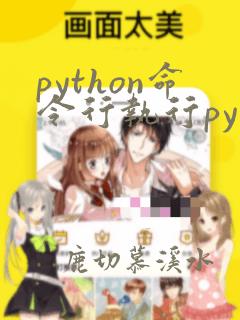 python命令行执行py文件