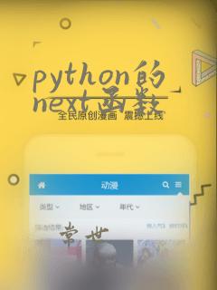 python的next函数