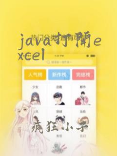 java打开excel
