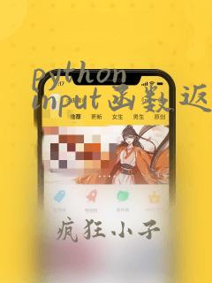 python input函数返回值类型