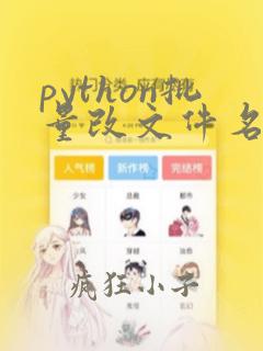 python批量改文件名称