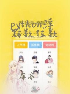 python浮点数位数