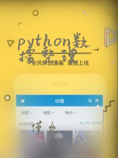 python数据整理