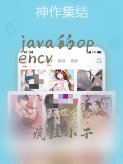 java的opencv