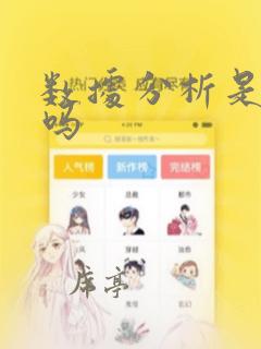 数据分析是编程吗