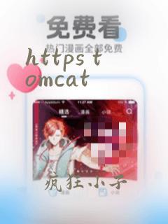 https tomcat