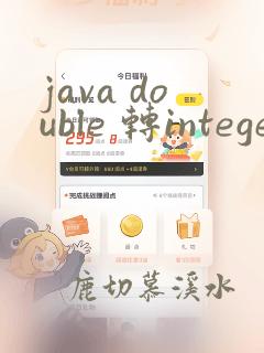 java double 转integer