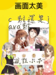 c 难还是java难