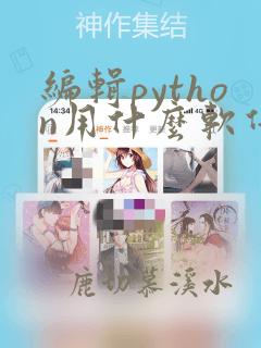编辑python用什么软件
