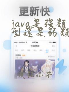 java是强类型还是弱类型