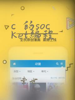 c 的socket编程