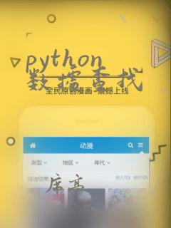 python 数据查找