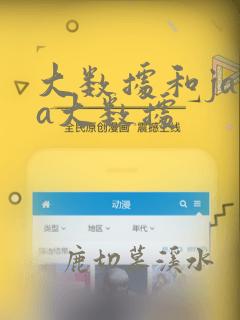 大数据和java大数据