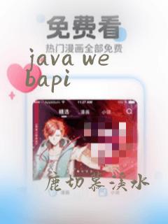 java webapi