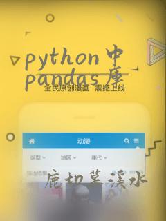 python中pandas库