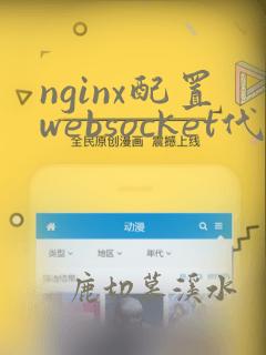nginx配置websocket代理