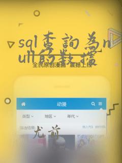 sql查询为null的数据