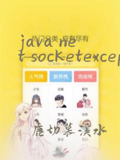 java net socketexception
