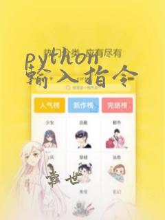 python 输入指令