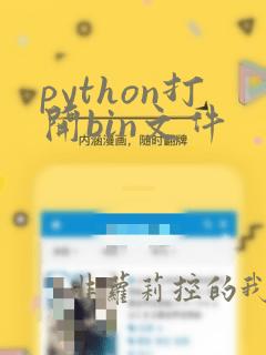 python打开bin文件