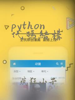 python 代码结构