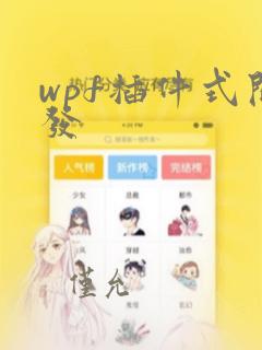 wpf插件式开发