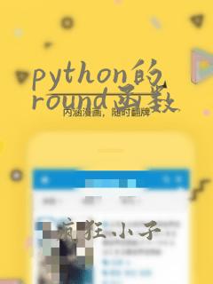python的round函数