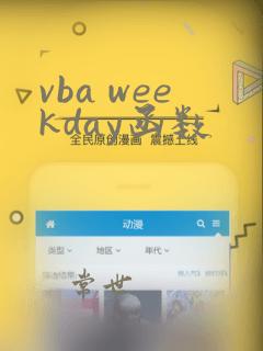 vba weekday函数