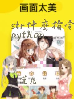 str什么指令python