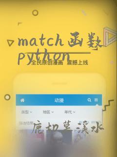 match函数python