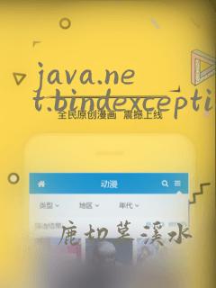 java.net.bindexception: 地址已在使用