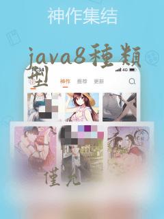 java8种类型