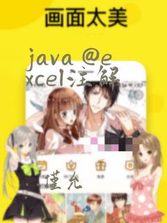 java @excel注解