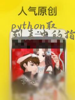 python取列表中的指定元素
