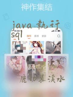 java 执行sql