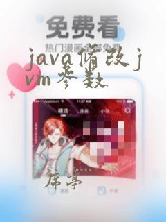 java修改jvm参数