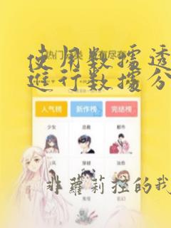使用数据透视表进行数据分析