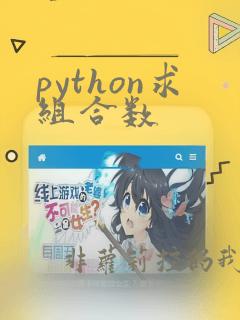 python求组合数