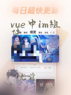 vue中im组件