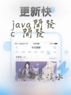 java开发 c 开发