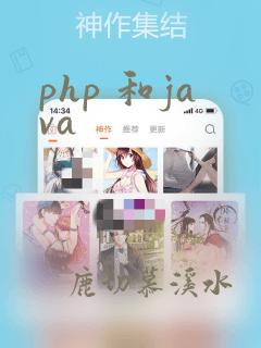 php 和java