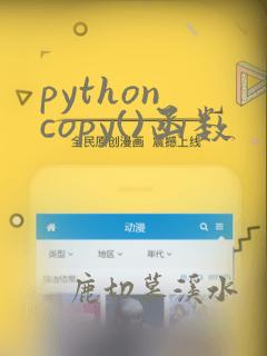 python copy()函数