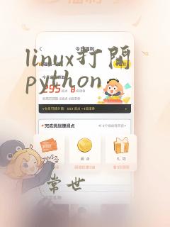 linux打开python