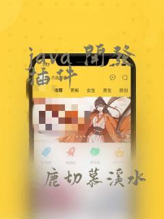 java 开发插件