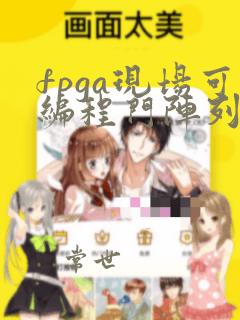 fpga现场可编程门阵列