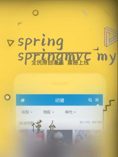 spring springmvc mybatis