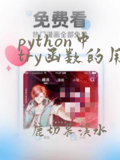 python中try函数的用法