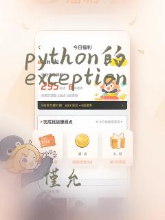 python的exception