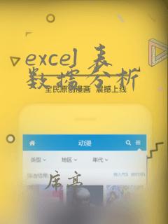 excel 表数据分析