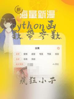 python函数带参数